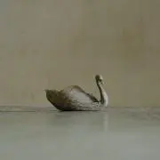 swanの画像