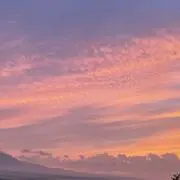いろはちゃの画像