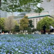 yuriの画像
