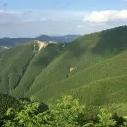 YUの画像