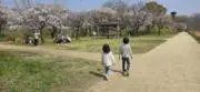 masaの画像
