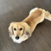 みんの画像