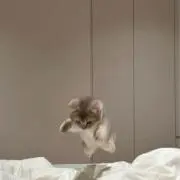 yまとめ買いお値引きの画像