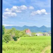 リー