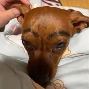 Qooばぁ～