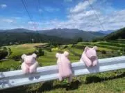moltenの画像