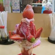 ふみの画像