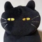 ネコの画像
