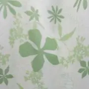 りんご