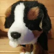 えみりん