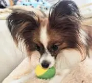 サラ‪☆プロフ必読願☆の画像