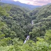 山本
