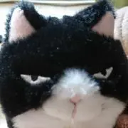 こう※5日までセール中！の画像