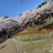 chikuの画像