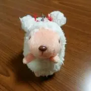りえっち(^○^)