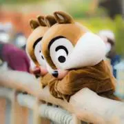 ユッキーの画像