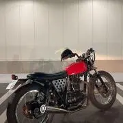 バッタ