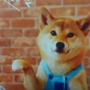 サチの画像