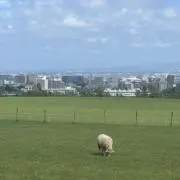uriの画像