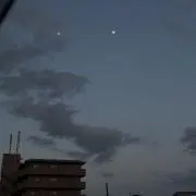 かつおの画像