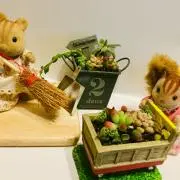 OBAの画像