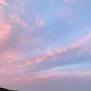 ピニャコの画像