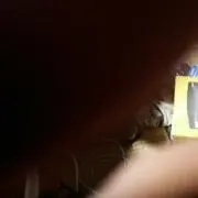 dの画像