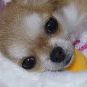 キラキラ