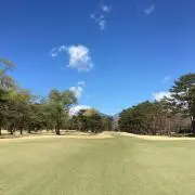 ココの画像