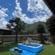 ちっちきちぃの画像