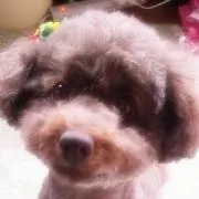 Yuu☆の画像