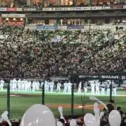 きのこの画像