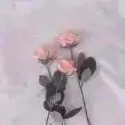 Hanaの画像