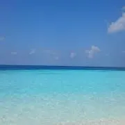 Chiiの画像