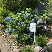 いとまさの画像
