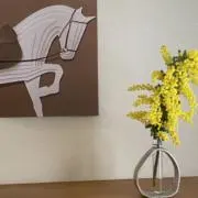 mimoの画像