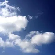 さくらの画像
