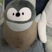 ぺんぎん