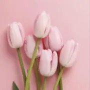 いとまき★断捨離中★