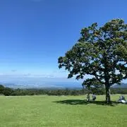 NICOの画像