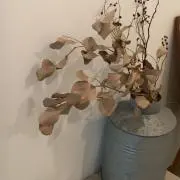 emaの画像