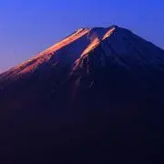 まつの画像