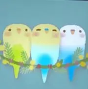 シマエナガ