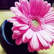 hi-co✳︎プロフ一読を✳︎