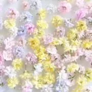 小夏工房