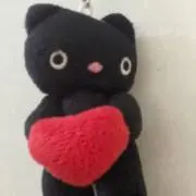 うみちゃんの画像