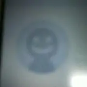 シン