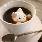 プロフご確認くださいm(_ _)mの画像