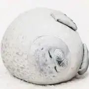 ୨୧