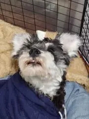 おむすび